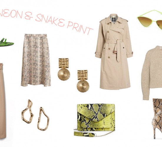Inspiration Neon Snake Print. Fashion and Style Blog Girl from Heartfelt Hunt showing her inspiration for neon snake print.